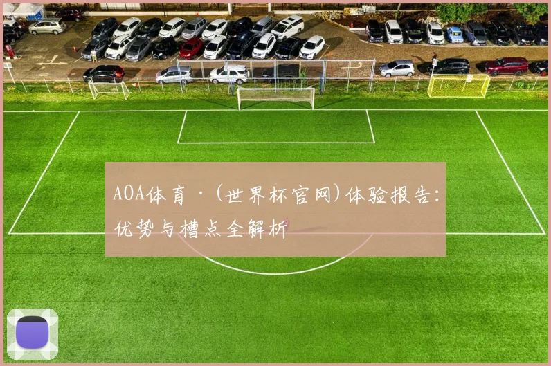 AOA体育·(世界杯官网)体验报告：优势与槽点全解析