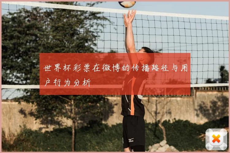 世界杯彩票在微博的传播路径与用户行为分析