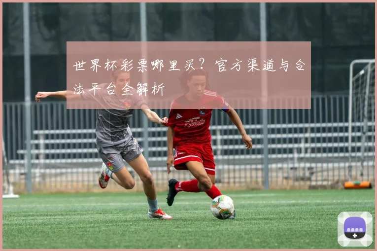 世界杯彩票哪里买？官方渠道与合法平台全解析