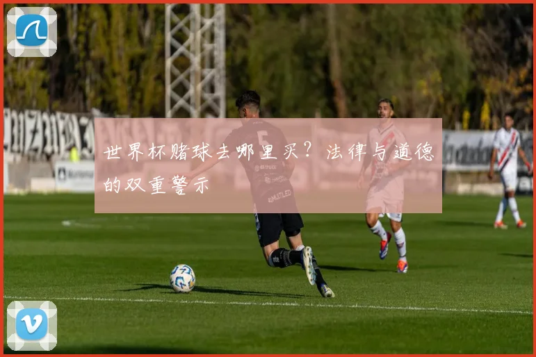 世界杯赌球去哪里买？法律与道德的双重警示