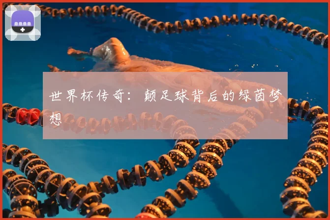 世界杯传奇：颠足球背后的绿茵梦想