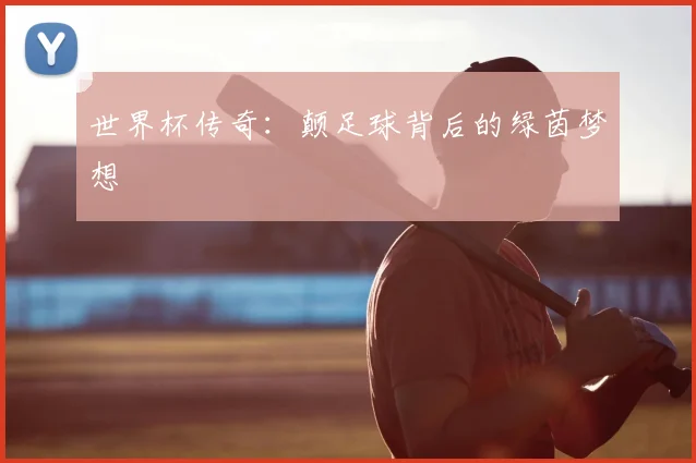 世界杯传奇：颠足球背后的绿茵梦想